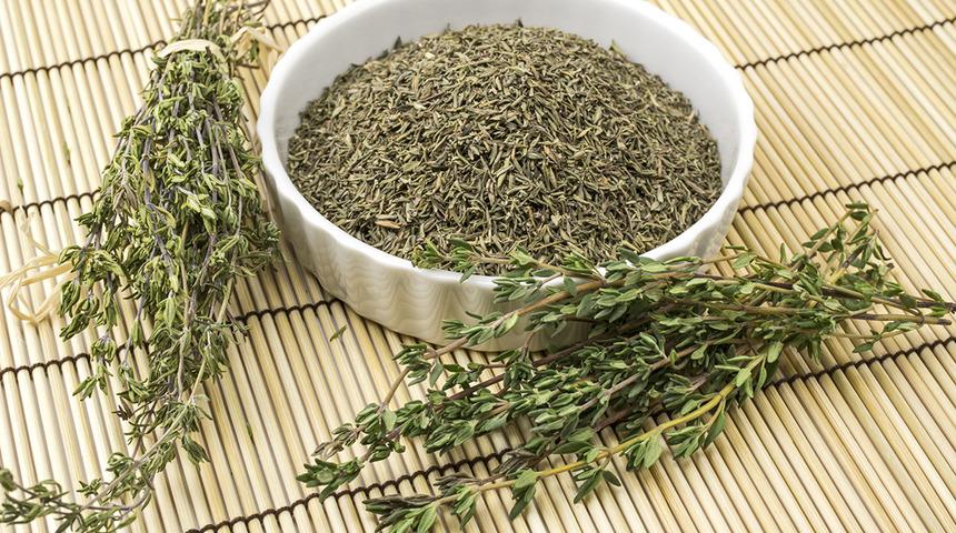 Diş eti çekilmesini engelleyen kekik kürünü keşfedin