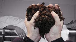 New York, cesetlerin gübreye dönüştürülebilmesine onay verdi