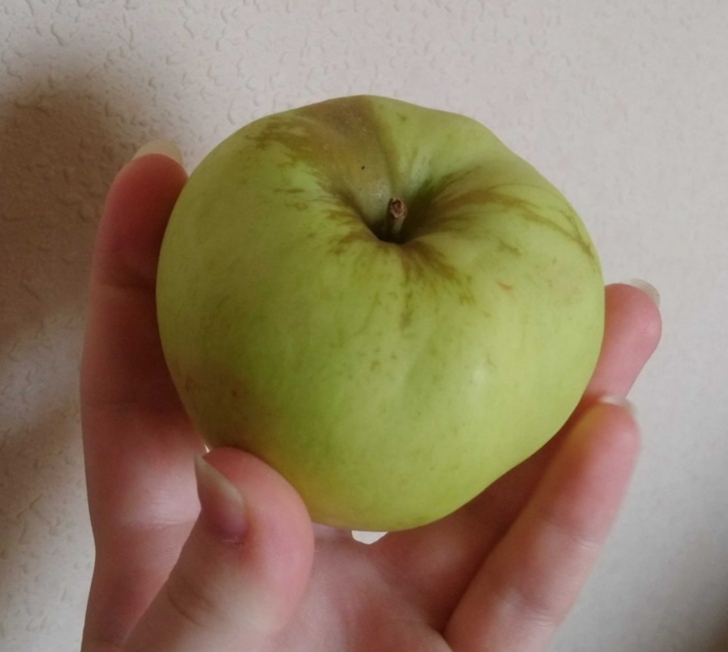 Çöpe gitmesin! Meyve ve sebzeleri aylarca taze tutmak için... G4