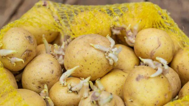 Çöpe gitmesin! Meyve ve sebzeleri aylarca taze tutmak için...