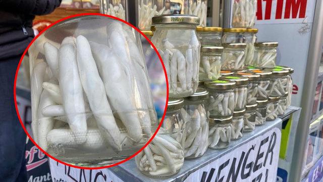 Bu sakız tam 2.500 TL! Fiyatı duyan inanamıyor: Boksörlerin de tercihi oldu