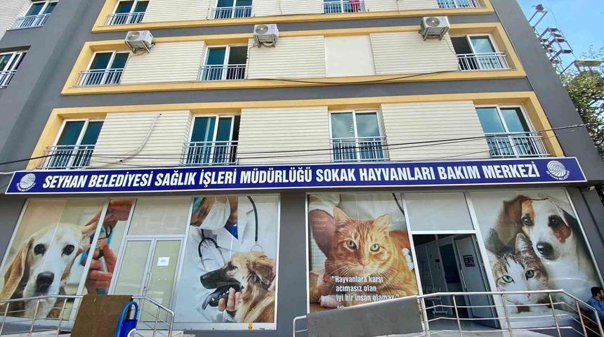 Seyhan’da bin 236 sokak kedisini ücretsiz olarak kısırlaştırdı