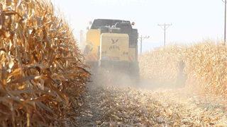 Fiyatlar geçen seneye göre yüzde 200 arttı: Kabul edilir bir durum değil