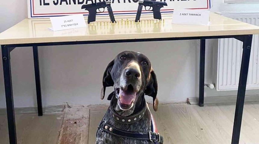 Uygulamada kurusıkıdan bozma 2 tabanca ele geçirildi