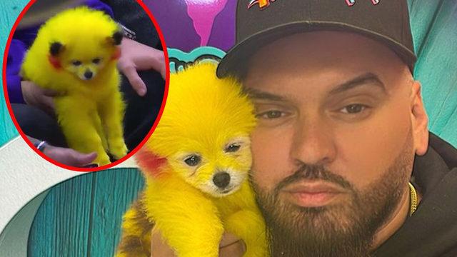 Sosyal medyadan tepki toplamıştı! Köpeğini ‘Pikachu’ gibi boyayan adamın cezası belli oldu