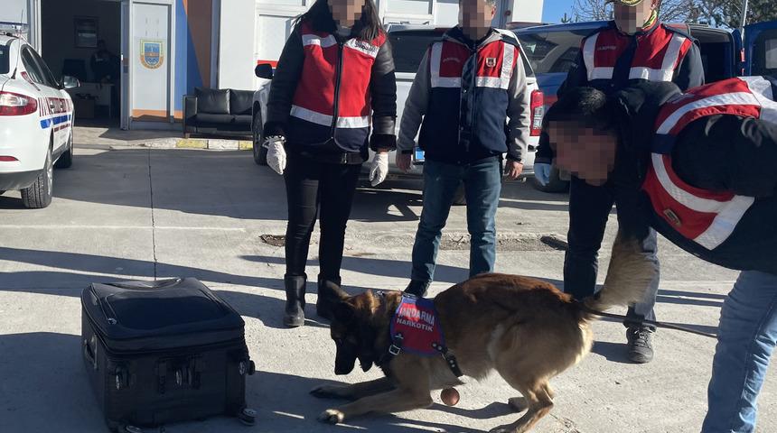 Kaçakçıların naftalinli ve parfümlü zula yöntemi "Asır'ın hassas burnundan kaçmadı