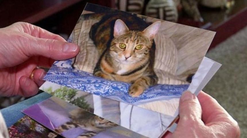 Seri hayvan katili! 2 yılda 358 hayvanı &ouml;ld&uuml;rd&uuml;