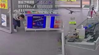 Yer: İstanbul! Uçarak dükkana girdi, korkuya yol açtı: Saniyeler içerisinde gördüm