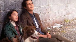 Taçsız Prenses bu akşam var mı, yok mu? Taçsız Prenses yeni bölüm ne zaman? 28 Mart 2023 FOX TV yayın akışı