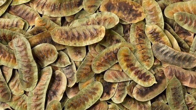 Faydalarını duyan aktara koşuyor! Bu ot zahmetsizce zayıflatıyor! Tansiyon dengeleyici özelliğe sahip