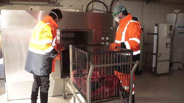 Çöplerden bir şehrin enerjisini karşılıyorlar