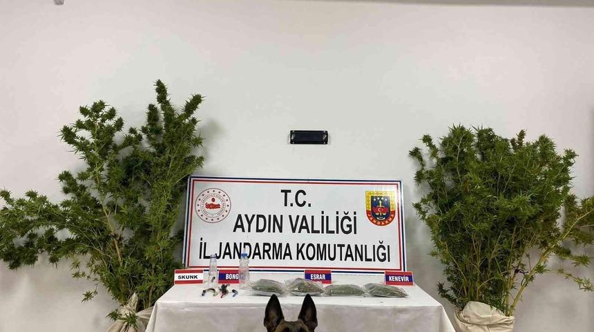 Aydın&rsquo;da Jandarmanın ka&ccedil;ak&ccedil;ılık operasyonlarının bilan&ccedil;osu a&ccedil;ıklandı