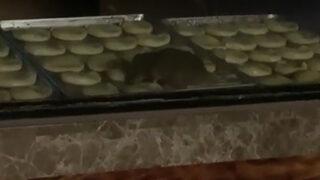 'Fare poğaçalar hariç...' Simit fırınından ilginç savunma! Tepki çeken görüntülerden sonra harekete geçildi