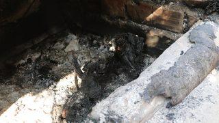 Kan donduran vahşet! Paşa'yı kulübesinde diri diri yaktılar