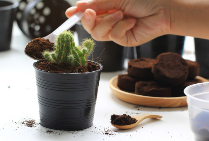 ÇİÇEKLERİ UZUN SÜRE TAZE TUTUN