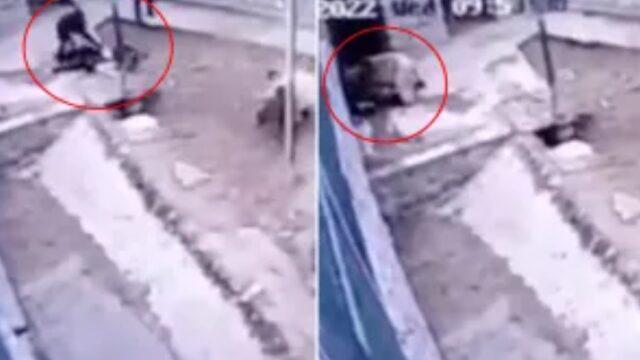 Kafesinin kapısını açık unutunca ayı dehşet saçtı! Birdenbire arkasından sessizce yaklaştı... Üzerine atlayıp parçaladı