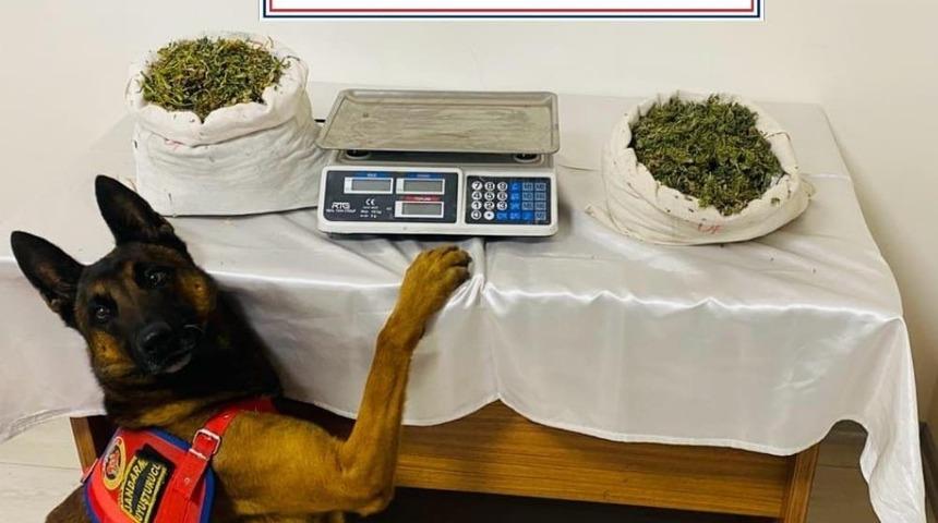 Trabzon’da uyuşturucu operasyonu: 1 tutuklama