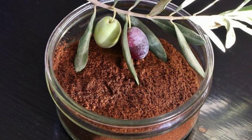 Oh be: Canan Karatay sayesinde zeytinin kahvesi de yapıldı