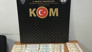 Yalova'da sahte dolarla yakalanan zanlı tutuklandı