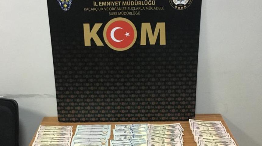 Yalova'da sahte dolarla yakalanan zanlı tutuklandı
