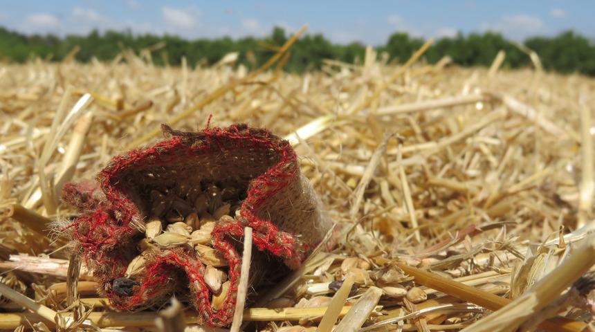 Adını fazla duymadık ama bu &ccedil;ay binbir derde deva
