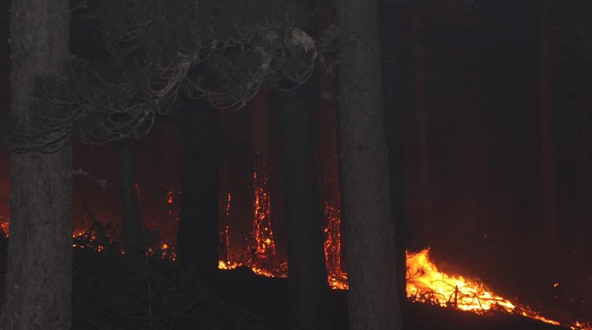 Son dakika: Kaz Dağları'nda yangın! Çok sayıda ekip sevk edildi
