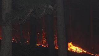 Son dakika: Kaz Dağları'nda yangın! Çok sayıda ekip sevk edildi