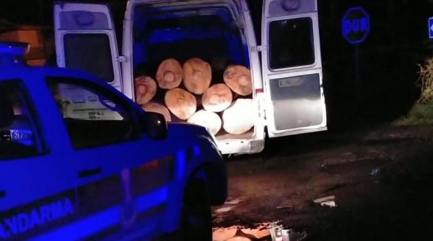 Samsun'da ehliyetsiz sürücünün aracında kaçak kesilmiş 5 ton odun ele geçirildi