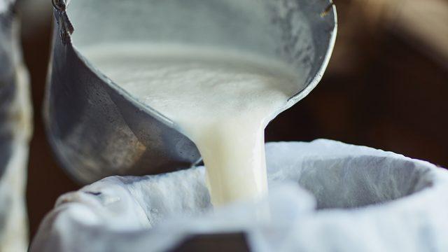 Süt desteğinin detayları netleşti: Farkı bakanlık karşılayacak