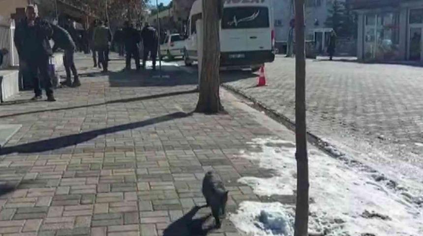 Hozat’ta kuduz karantinası: Sokak hayvanları aşılanıyor