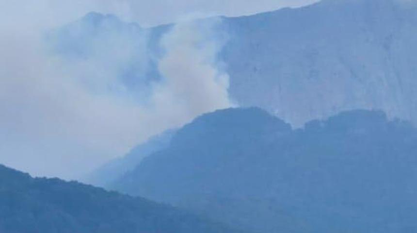 Son dakika: Denizli'de orman yangını! Zamana karşı yarış başladı