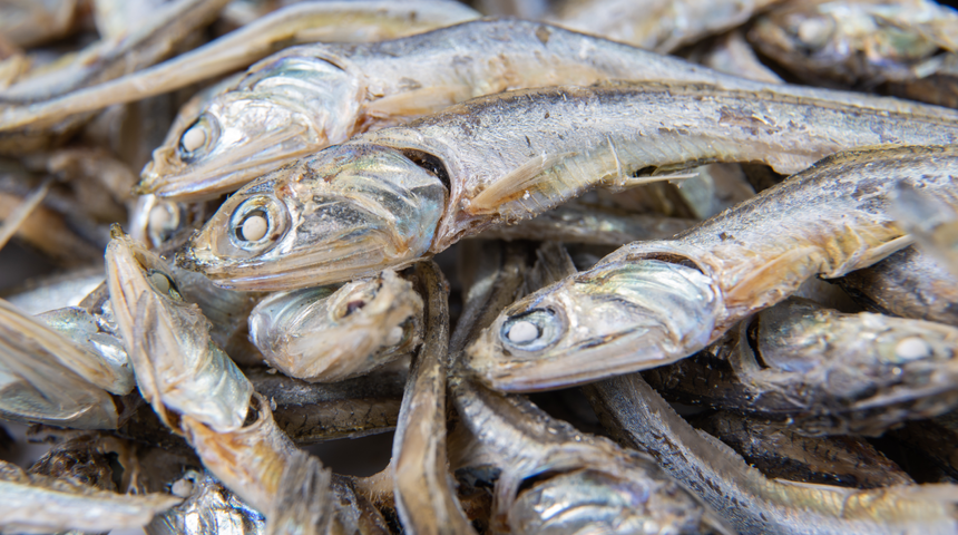 Sağlıklı diye yiyoruz ama vücudu mahvediyor! Balığın şaşırtan zararı