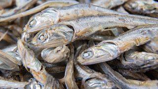 Sağlıklı diye yiyoruz ama vücudu mahvediyor! Balığın şaşırtan zararı