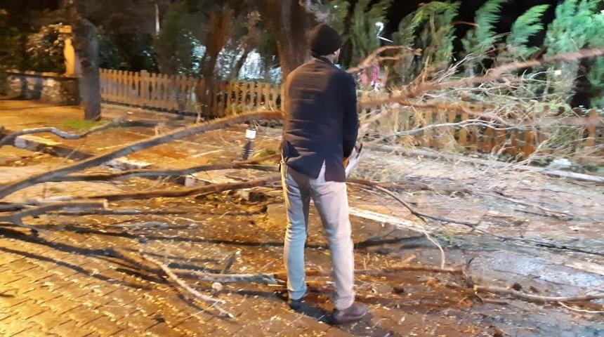 Fırtına ağaçları devirdi, çatıları uçurdu