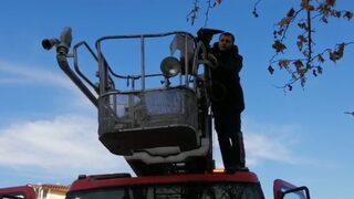 Vatandaşlar hemen ekiplere haber verdi! Ağaca takılan karga için seferber oldular