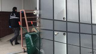 Sesleri duyunca kavga zannettiler! Gerçek ise bambaşka çıktı