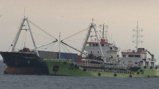 Bulgaristan'dan Amerika'ya gidiyordu! Marmara Denizi'nde arızalandı