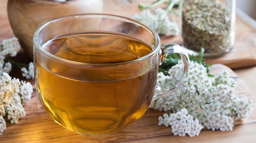 Kadınlar için mucize gibi bir çay: Migreni iyileştiriyor, rahmi onarıyor