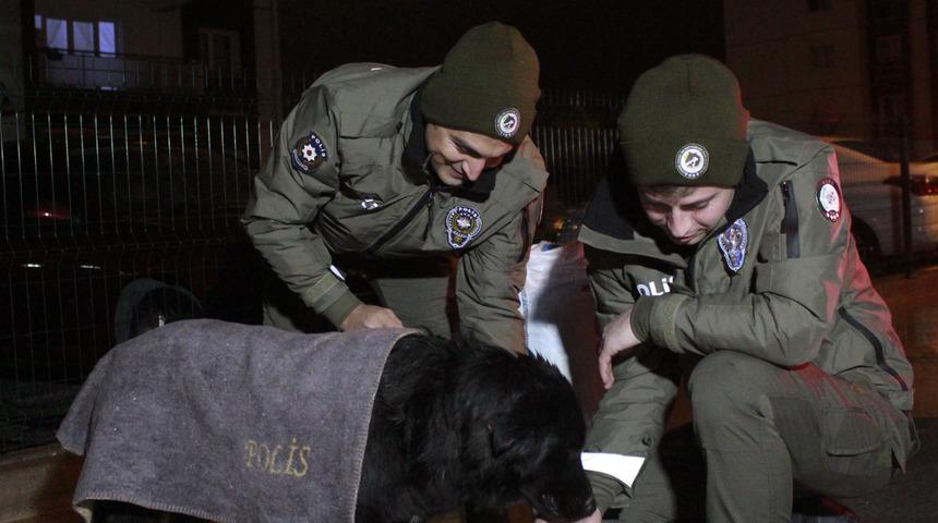 Uşak'ta polis ekipleri sokak hayvanlarını besledi