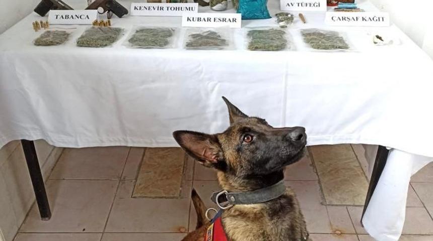 Zonguldak'ta uyuşturucu operasyonunda yakalanan 3 zanlıdan 1'i tutuklandı