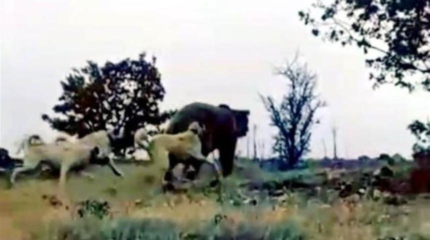 Yer: Ankara... Saniye saniye kaydedilen olay görüntüler!