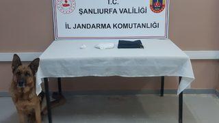 Şanlıurfa'da yolcu otobüsünde uyuşturucuyla yakalanan zanlı tutuklandı