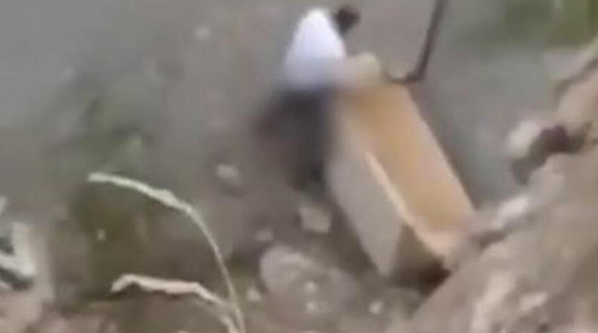 Köpeğe tecavüz ederken yakalanmıştı! Savunması 'pes' dedirtti: 'Yanıma çağırıp...'