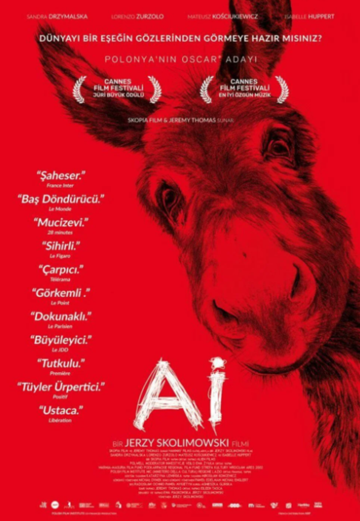 Sinemaseverleri mutlu edecek haftanın filmleri! 6 film birden vizyona girdi (13 Ocak 2023) G1