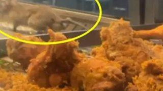 Görenler gözlerine inanamadı! Restoranda kızarmış tavuk tezgahından fare çıktı... Müşterilerin önünde o da yedi