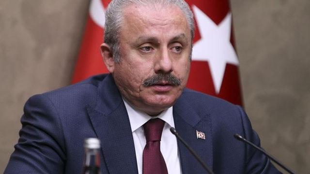 Son dakika: Meclis Başkanı Şentop, İsveçli mevkidaşı ile görüştü