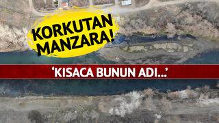 Tüm Türkiye'yi korkutan görüntü! Bir anda ortaya çıktılar... 'Yıllardır böylesi görülmedi' 