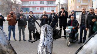 Yer: Sivas... Karşılaşanlar cep telefonlarına sarıldı! Daha önce böyle bir şey görmemiştim