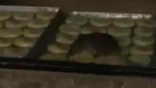 Fare 1 milyon TL'ye mal oldu! Sosyal medyada paylaşılan görüntüler olay yaratmıştı