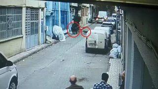 Pitbull cinsi köpeği saldırtmışlardı! Mahkemeden dikkat çeken karar